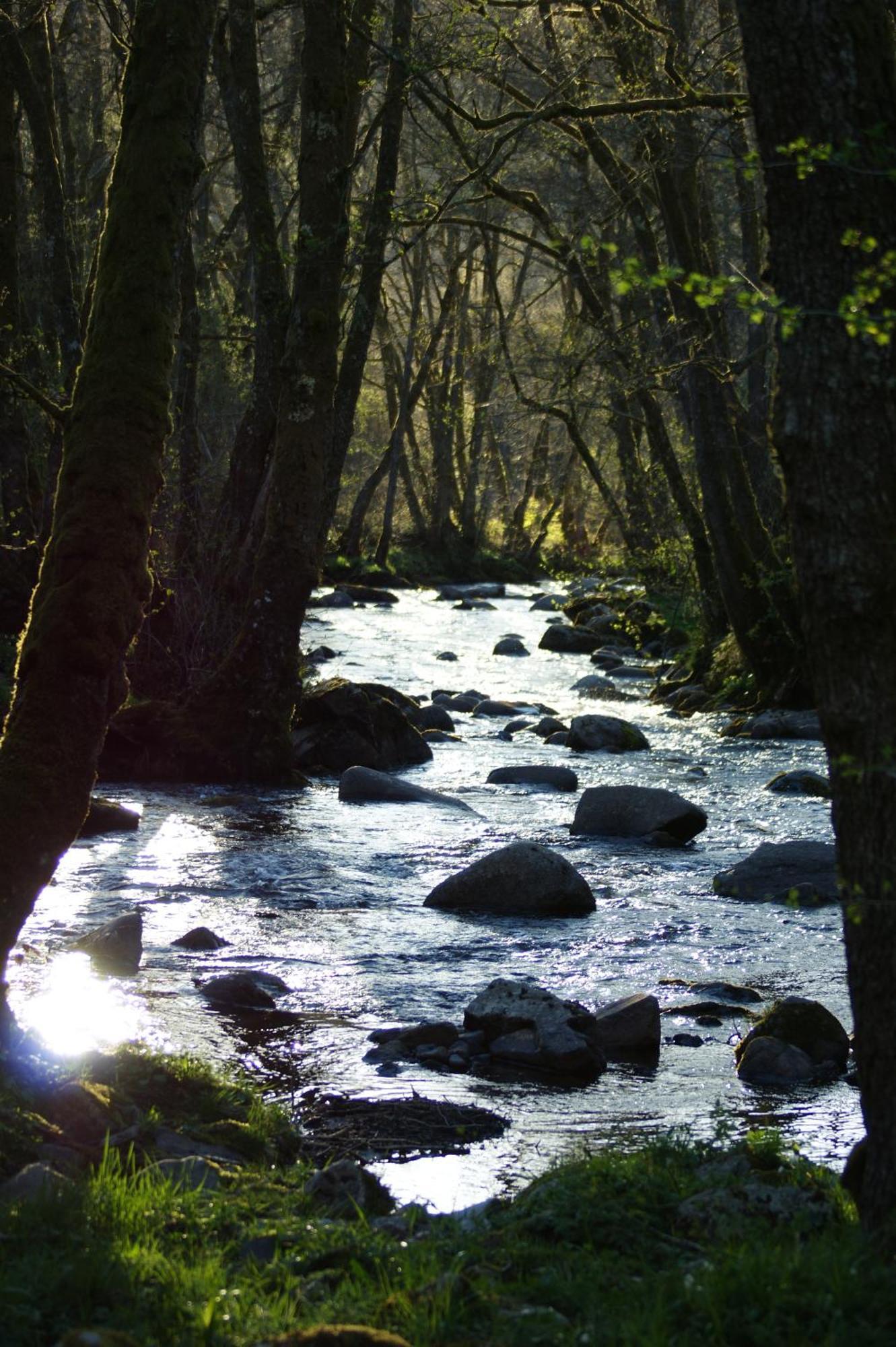 Le Gite De Chomet La Tour-dʼAuvergne Buitenkant foto